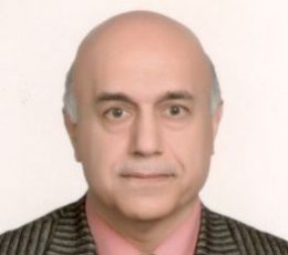 Prof. Hassan Hayani